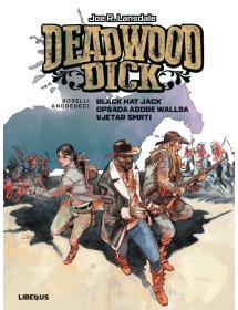Deadwood Dick, 3. knjiga